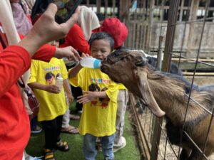 anak-anak smartkidz memberi makan hewan